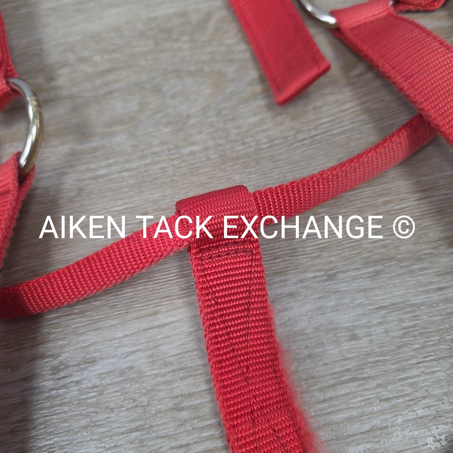 BARGAIN BUNDLE: Nylon Halter, Large, Nylon Halter Missing Crown, Full & Lead Rop