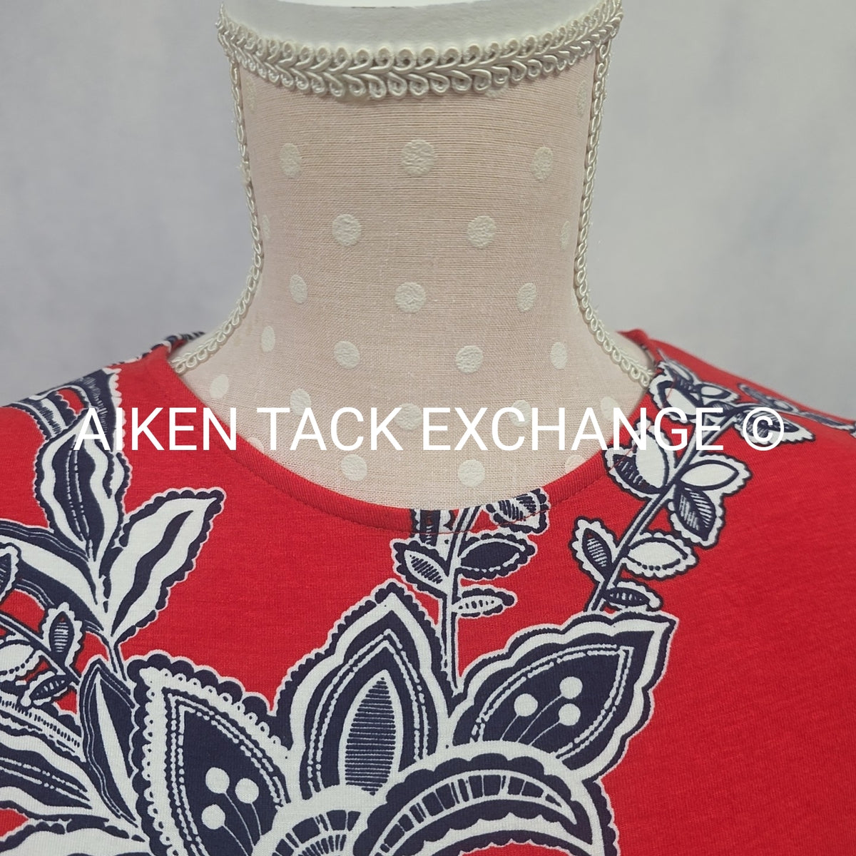 Venus T-Shirt Dress, Size X-Small