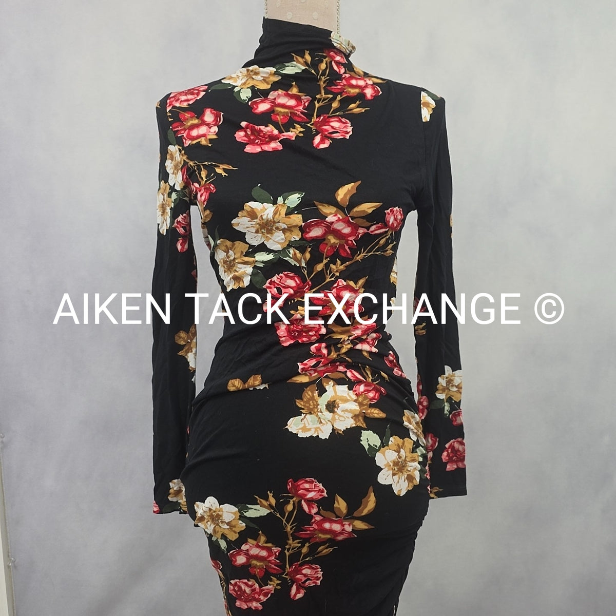 Venus Long Sleeve Dress, Size X-Small