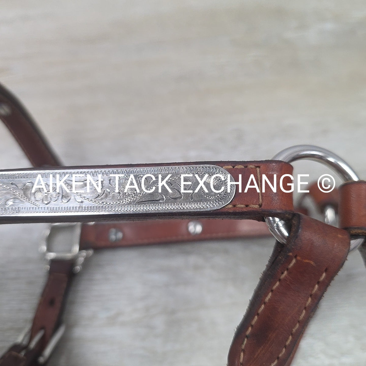 Western Show Halter, Size Foal