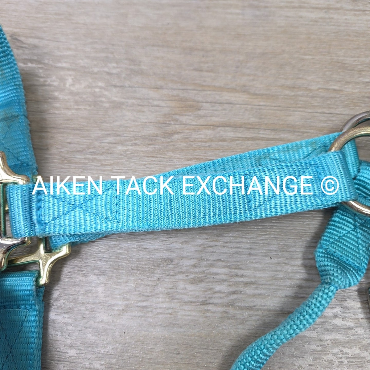 Nylon Halter, Size Cob