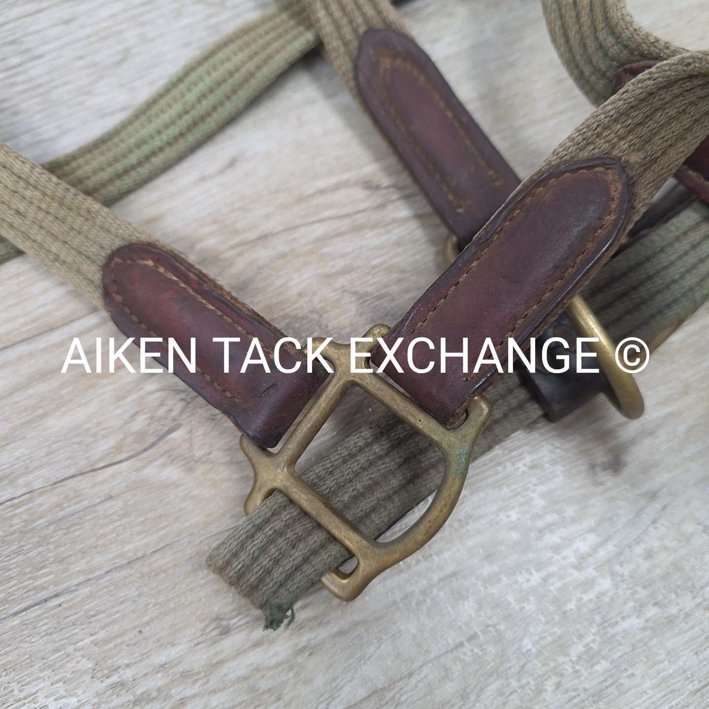 BARGAIN BUNDLE: Perri's Breakaway Halter, & Web Halter, Size Full