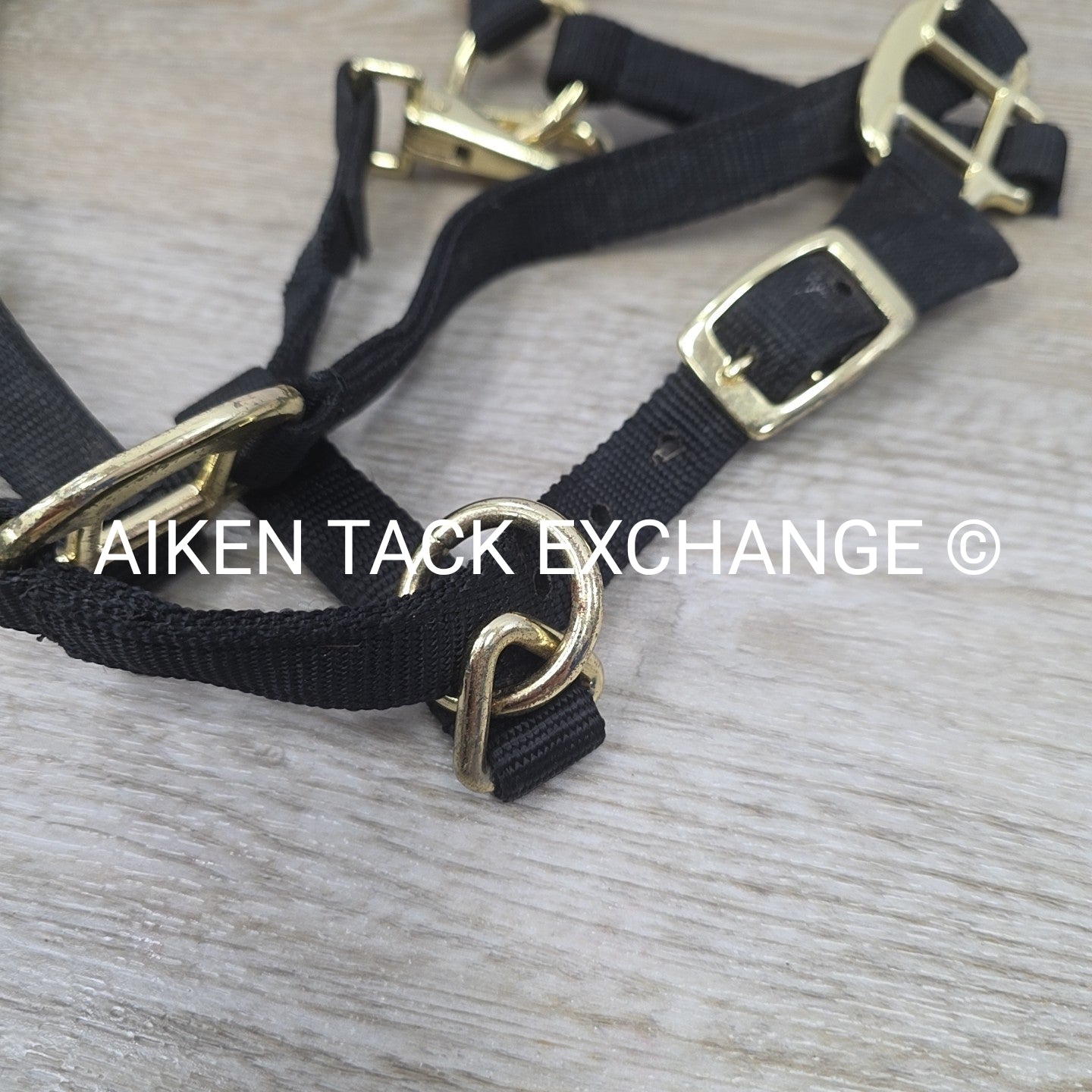 BARGAIN BUNDLE: 2 Nylon Breakaway Halters, Size Weanling / Pony