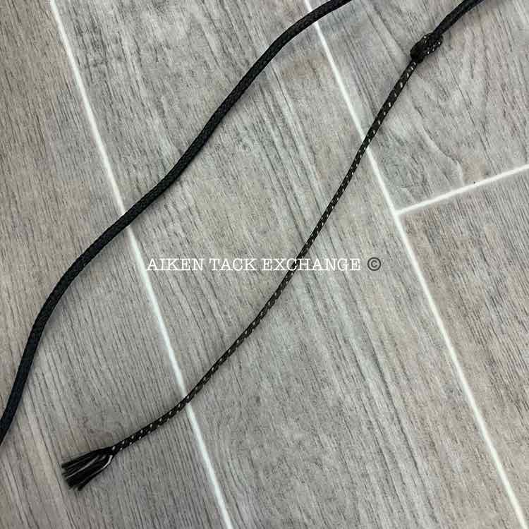 Telescoping Lunge Whip