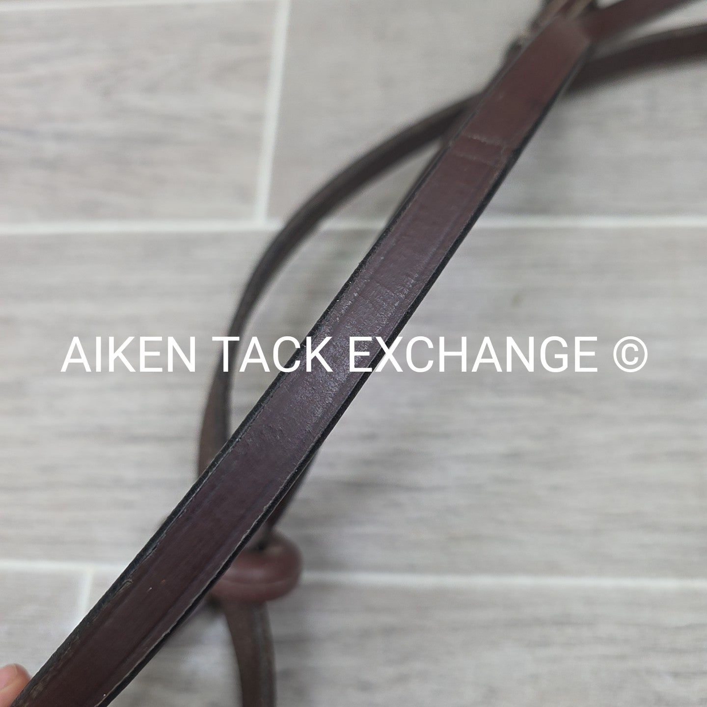 Flat Standing Martingale, Brown, Size Cob / Pony