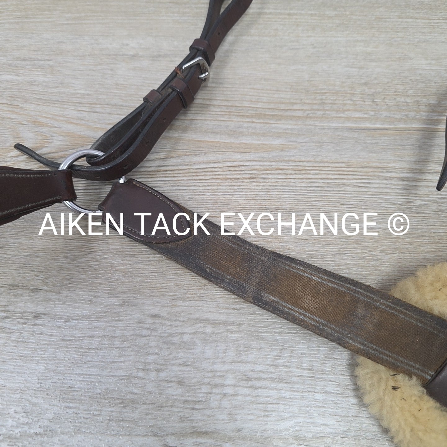 5 Point Breastplate, Brown, Size Cob