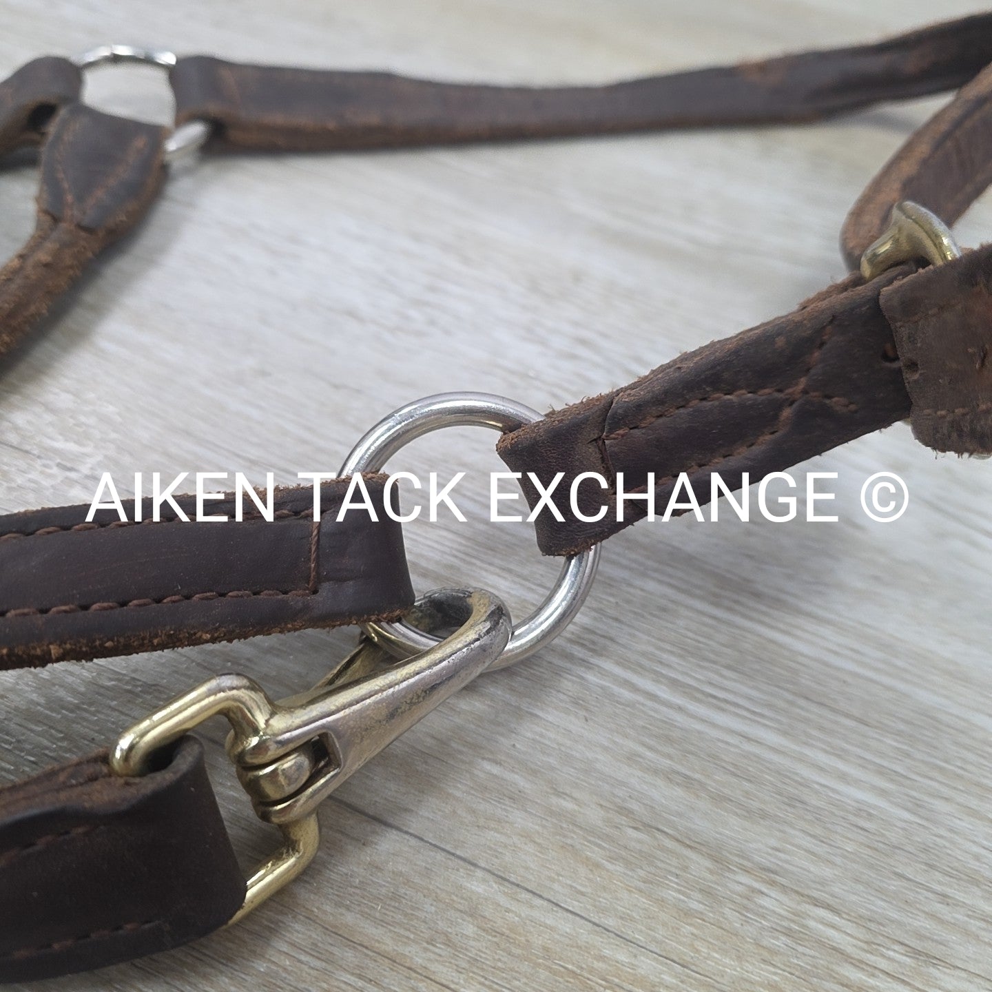 BARGAIN BUNDLE: Leather Halter & Nylon Halter, Size Full
