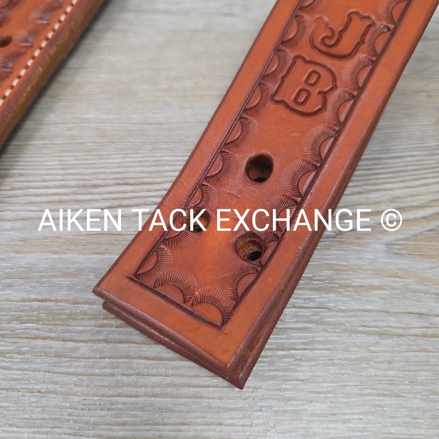 Rear Cinch Billets with Extenders