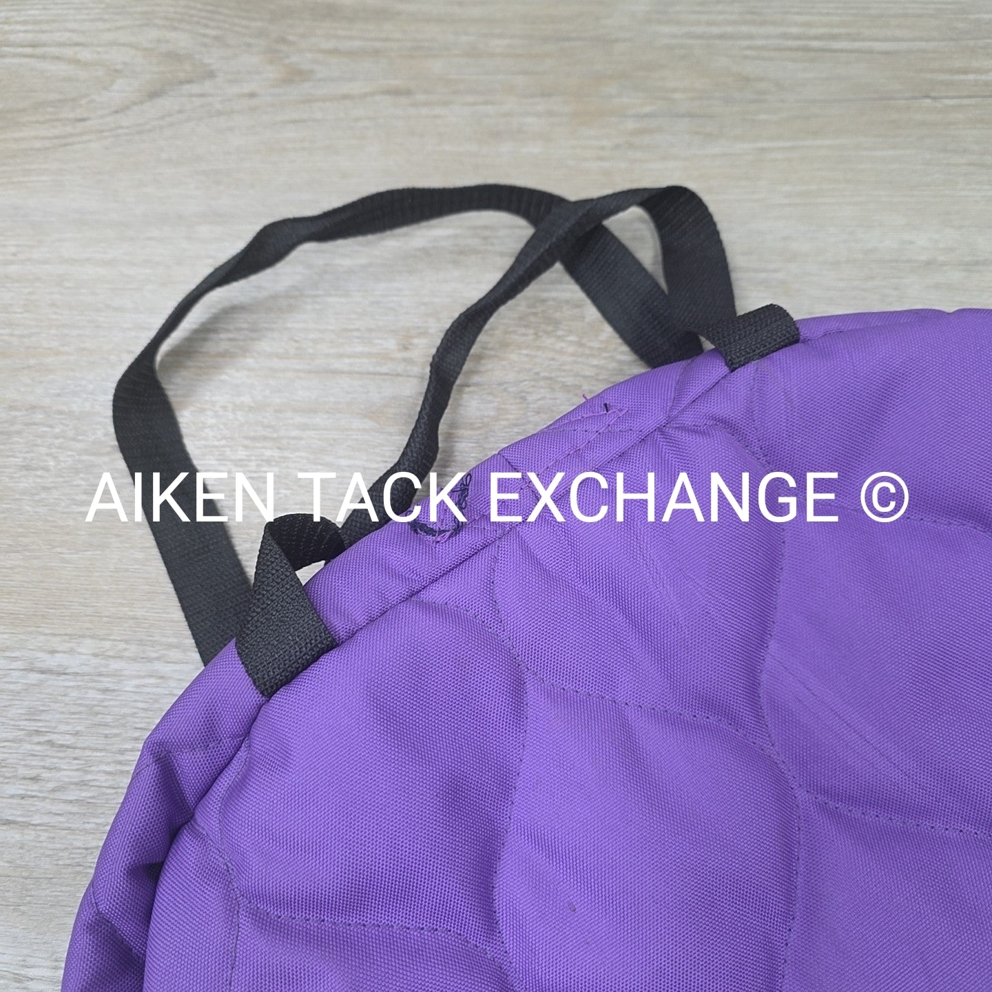 Padded Bridle Bag