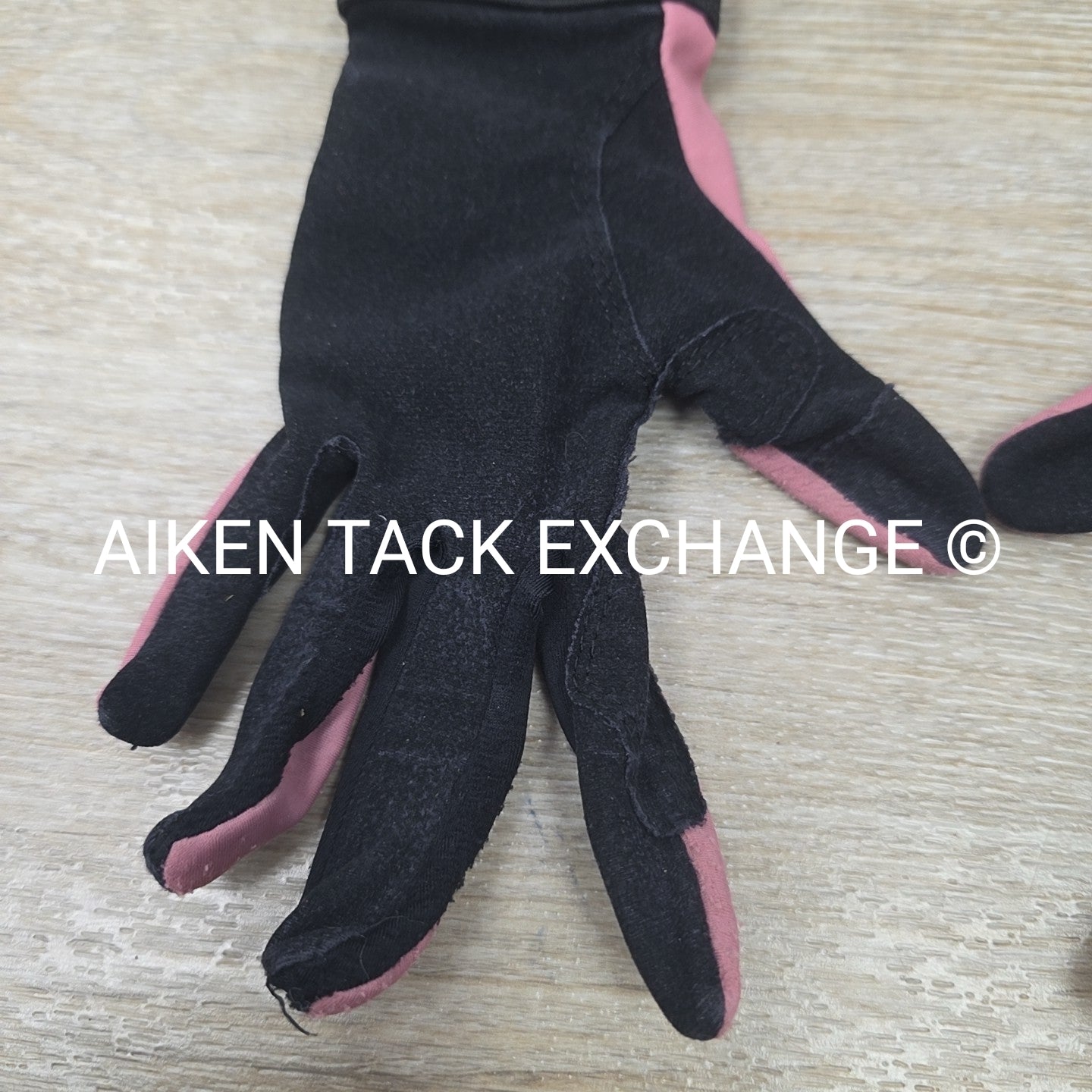 Noble Equestrian Gloves, Youth 6