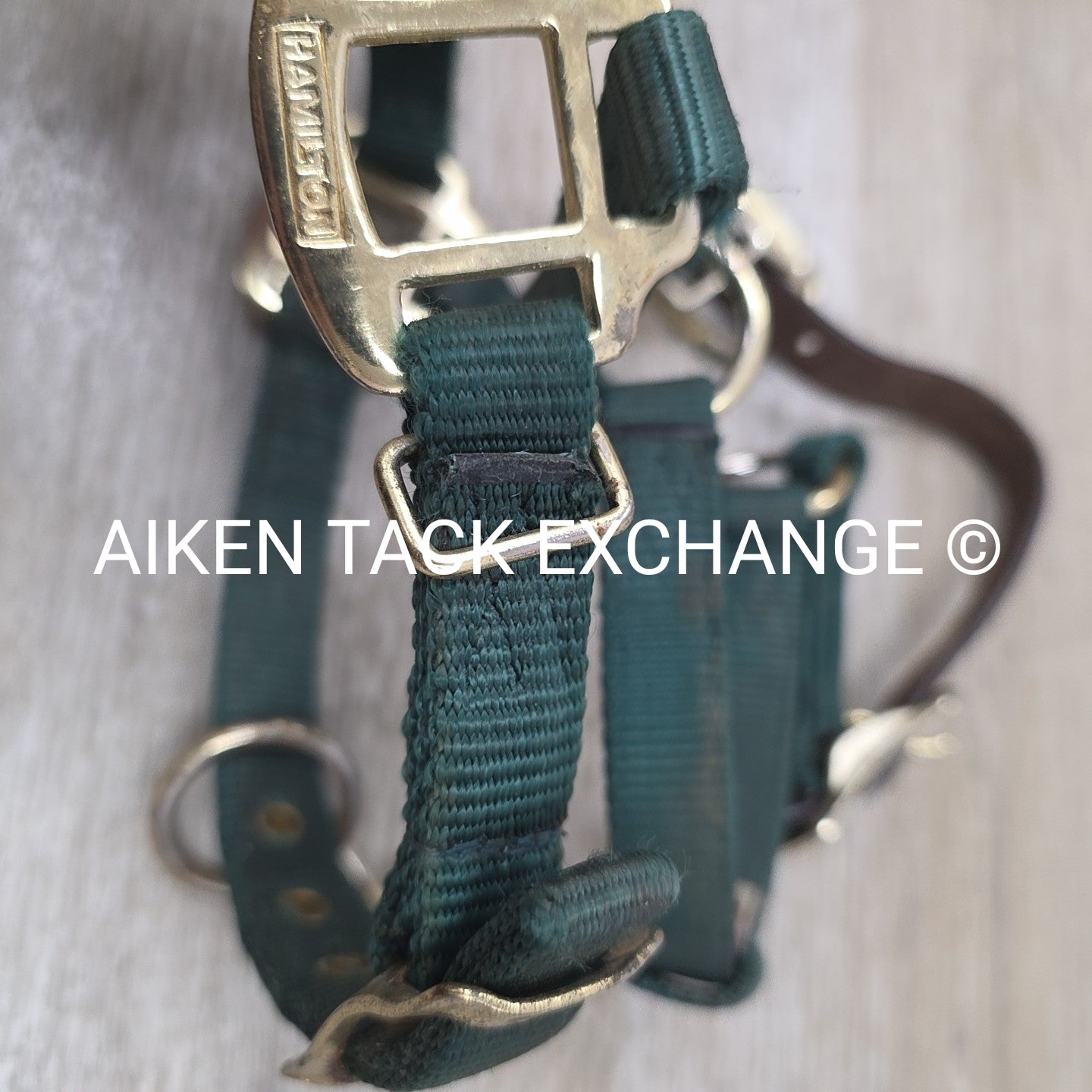Hamilton Nylon Breakaway Halter, Size Foal