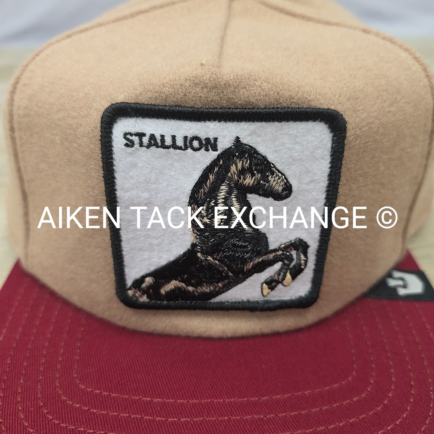Goorin Bros. Stallion Trucker Hat