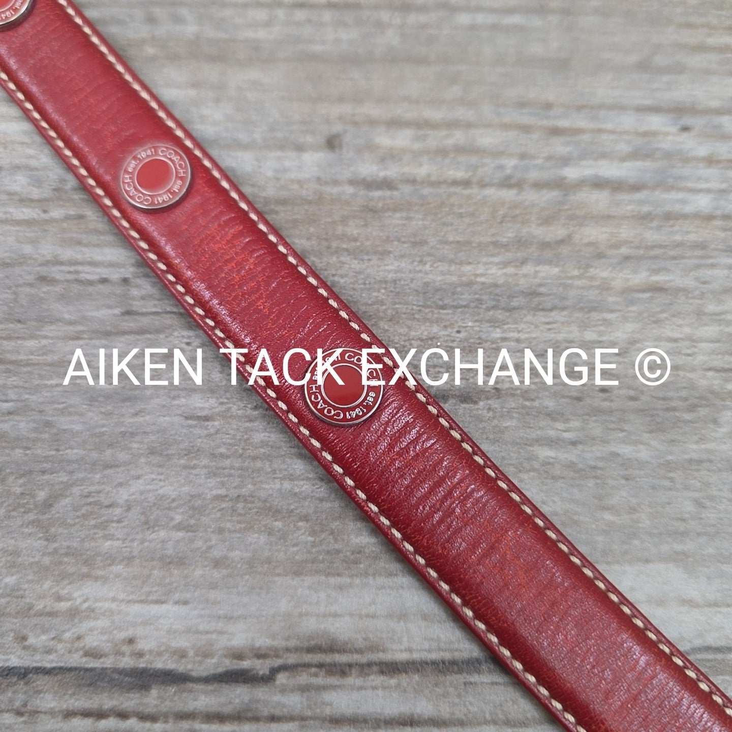 Coach Leather Red Grommet Dog Collar, Size Small