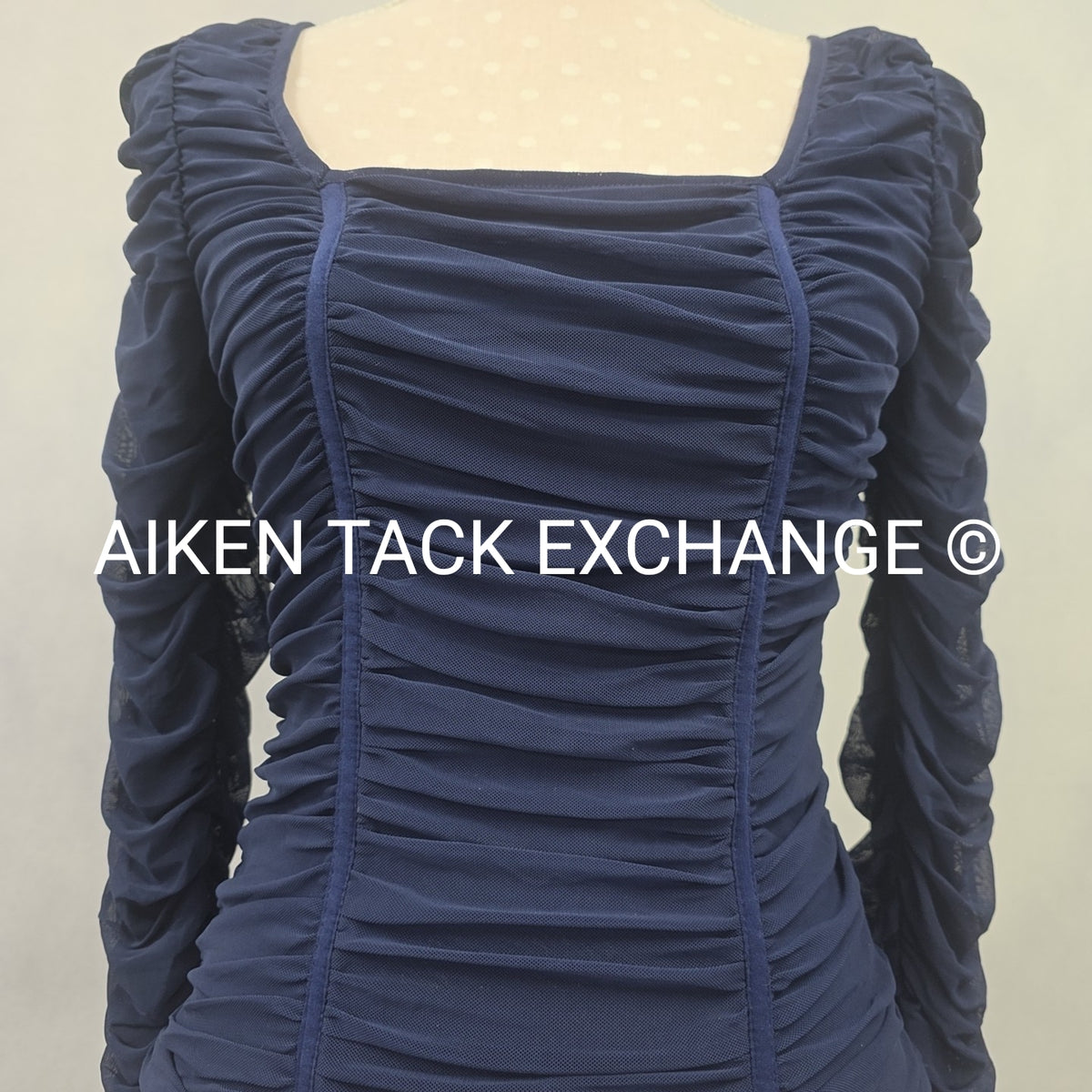 Venus Long Sleeve Mesh Top, Size X-Small