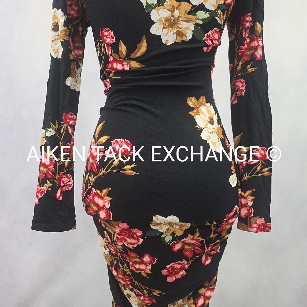Venus Long Sleeve Dress, Size X-Small