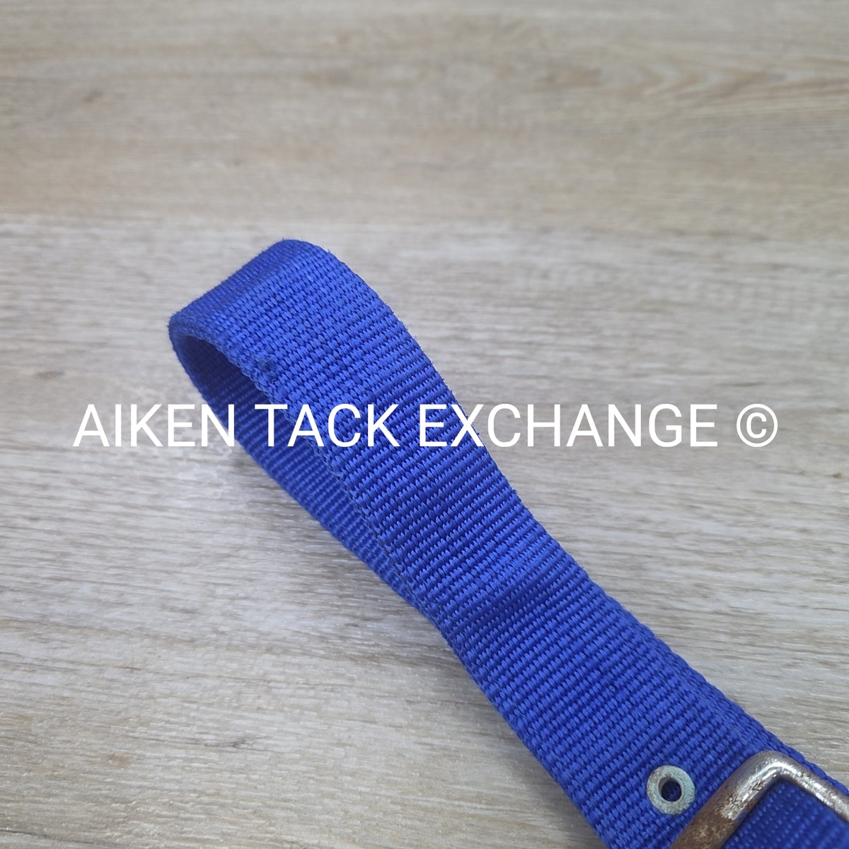 Nylon Halter, Draft