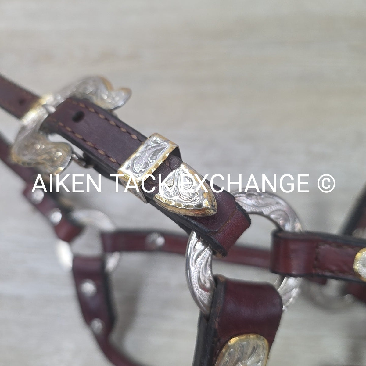Western Show Halter, Size Foal