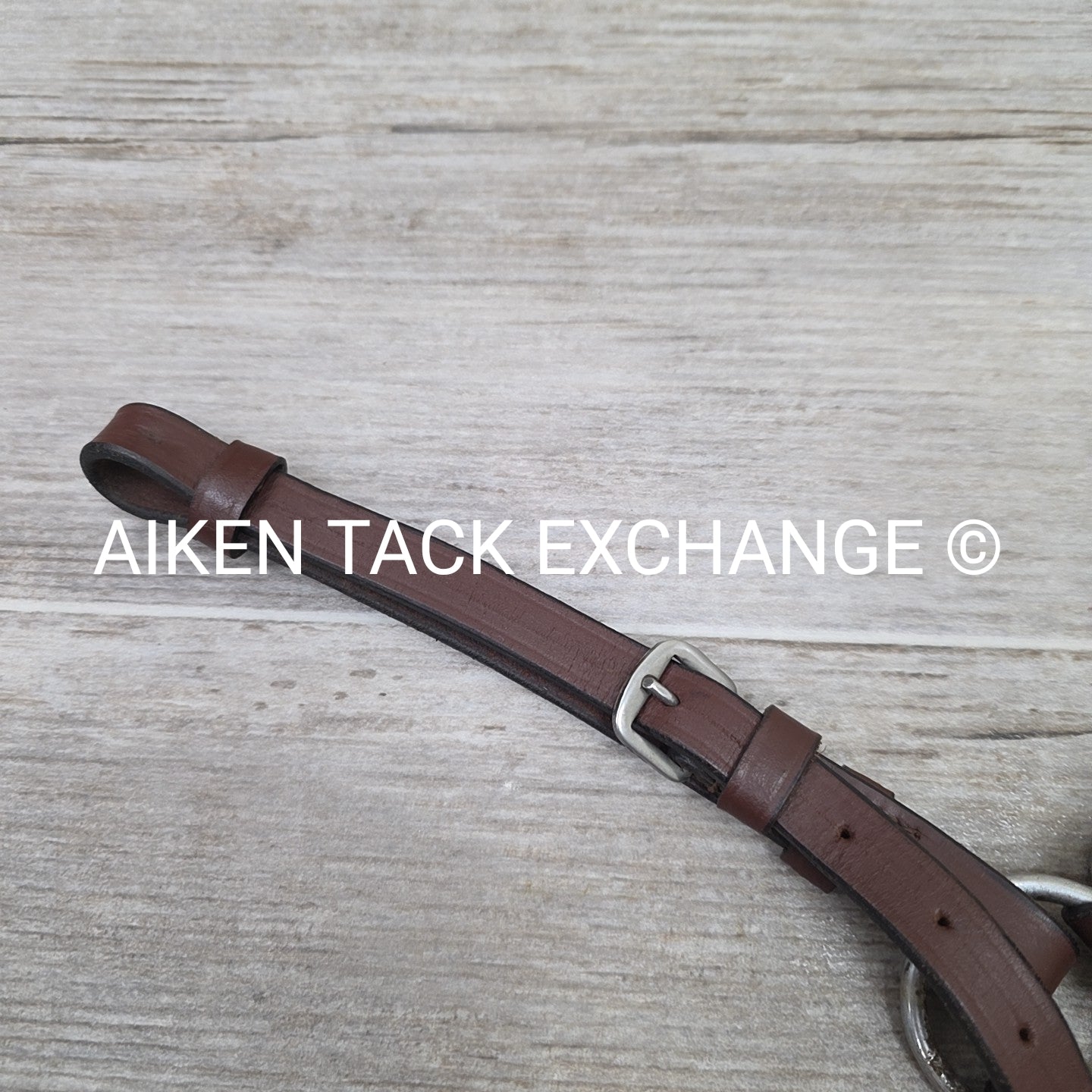 5 Point Breastplate with Running Martingale Attachment, Brown, Size Full