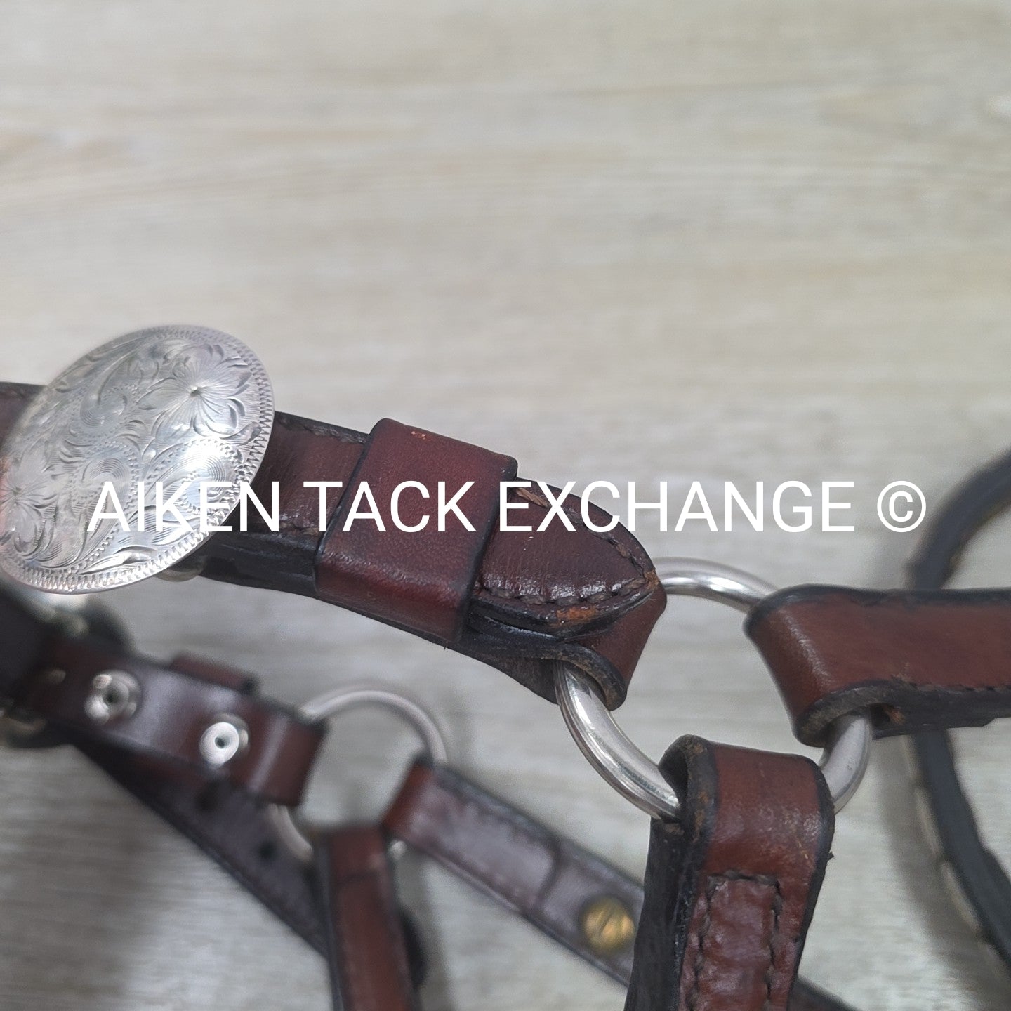 Western Show Halter, Size Foal