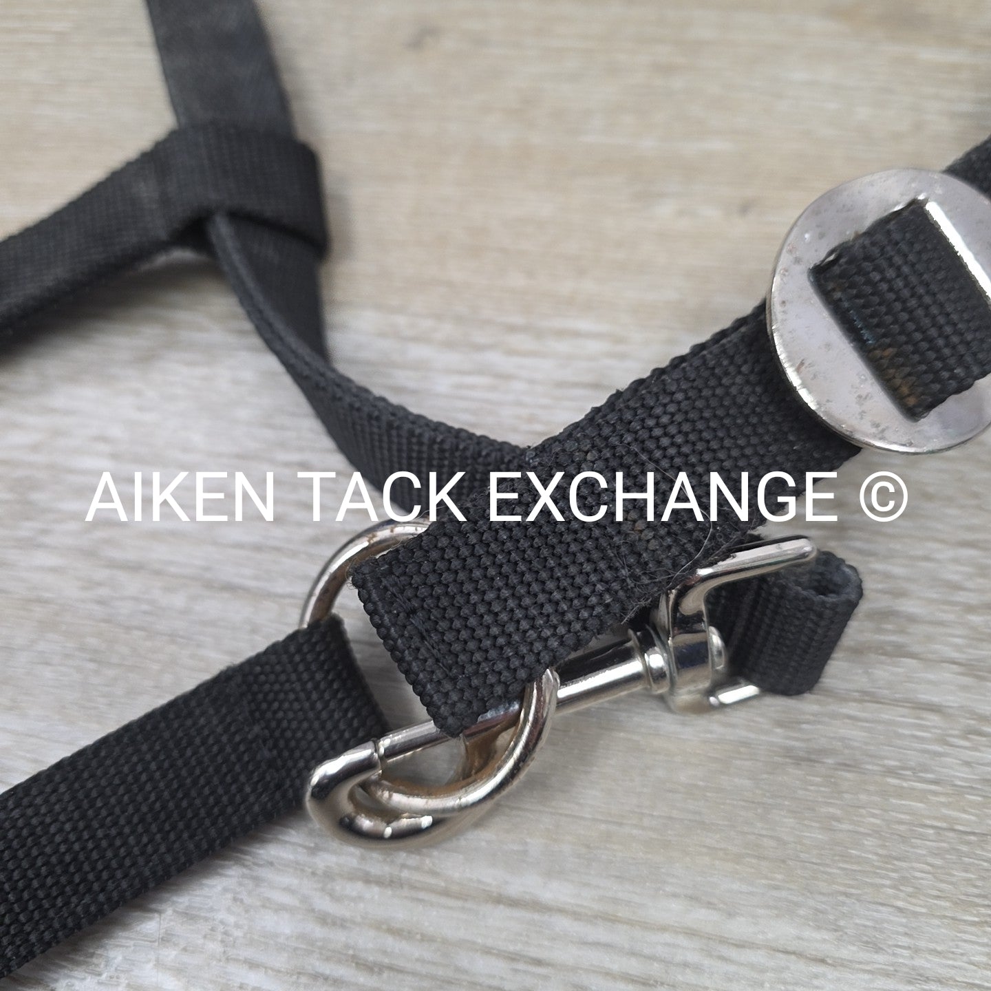 Eskadron Halter, Size Full