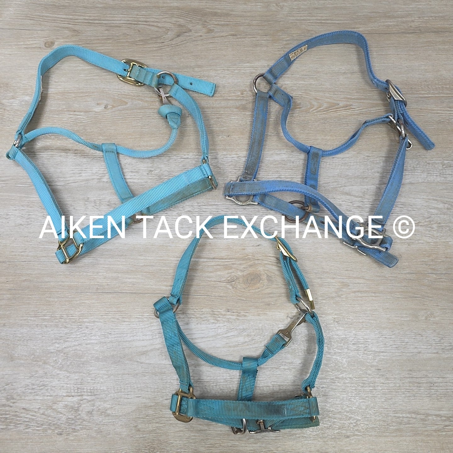 BARGAIN BUNDLE: 3 Nylon Halters, Various Sizes