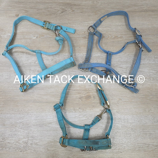 BARGAIN BUNDLE: 3 Nylon Halters, Various Sizes