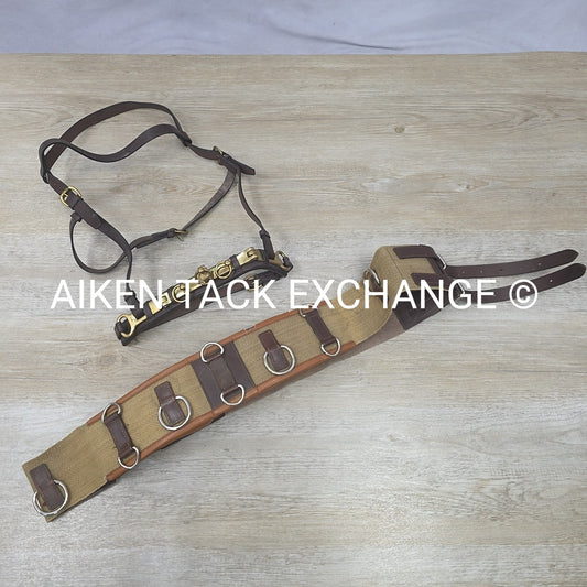 BARGAIN BUNDLE: Leather Lunging Cavesson & Surcingle