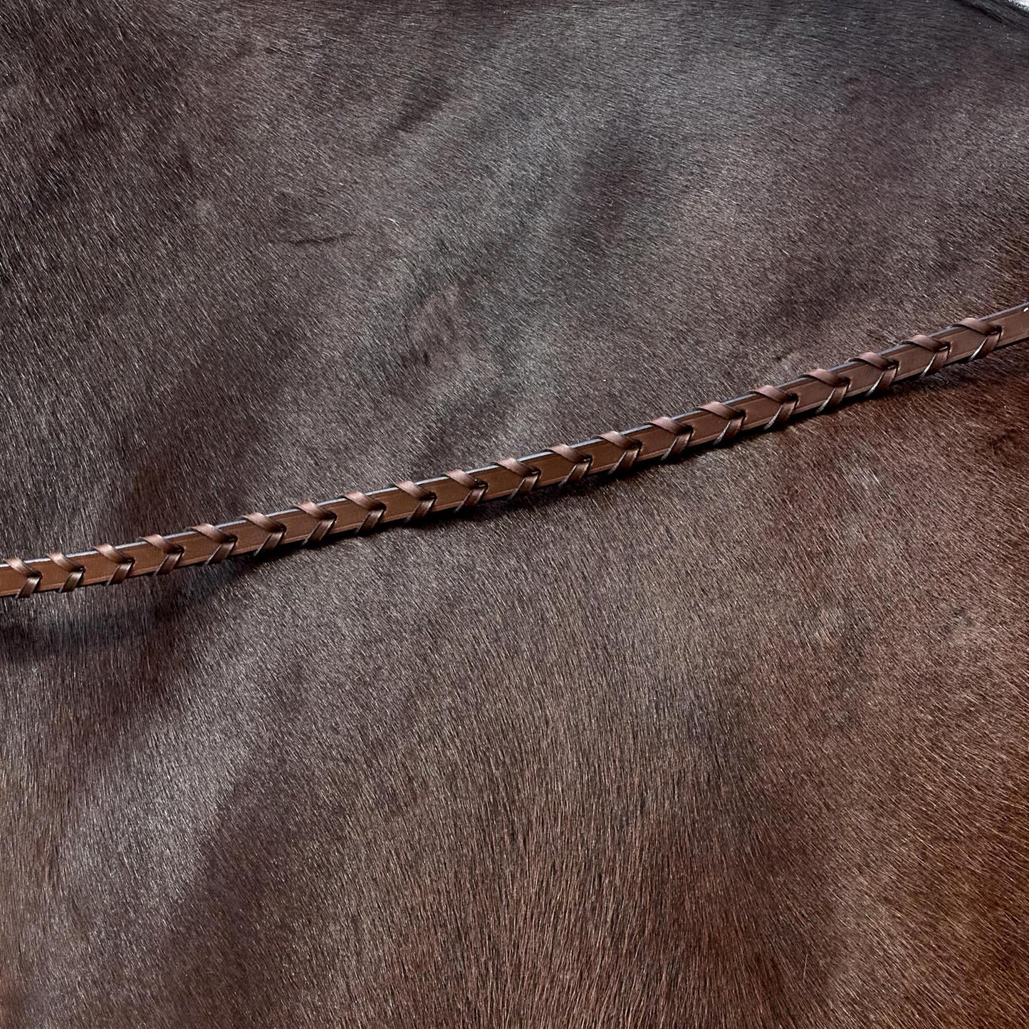 HDR Pro Mono Crown Fancy Stitched Padded Bridle with Matching Laced Reins: Australian Nut / Oversize