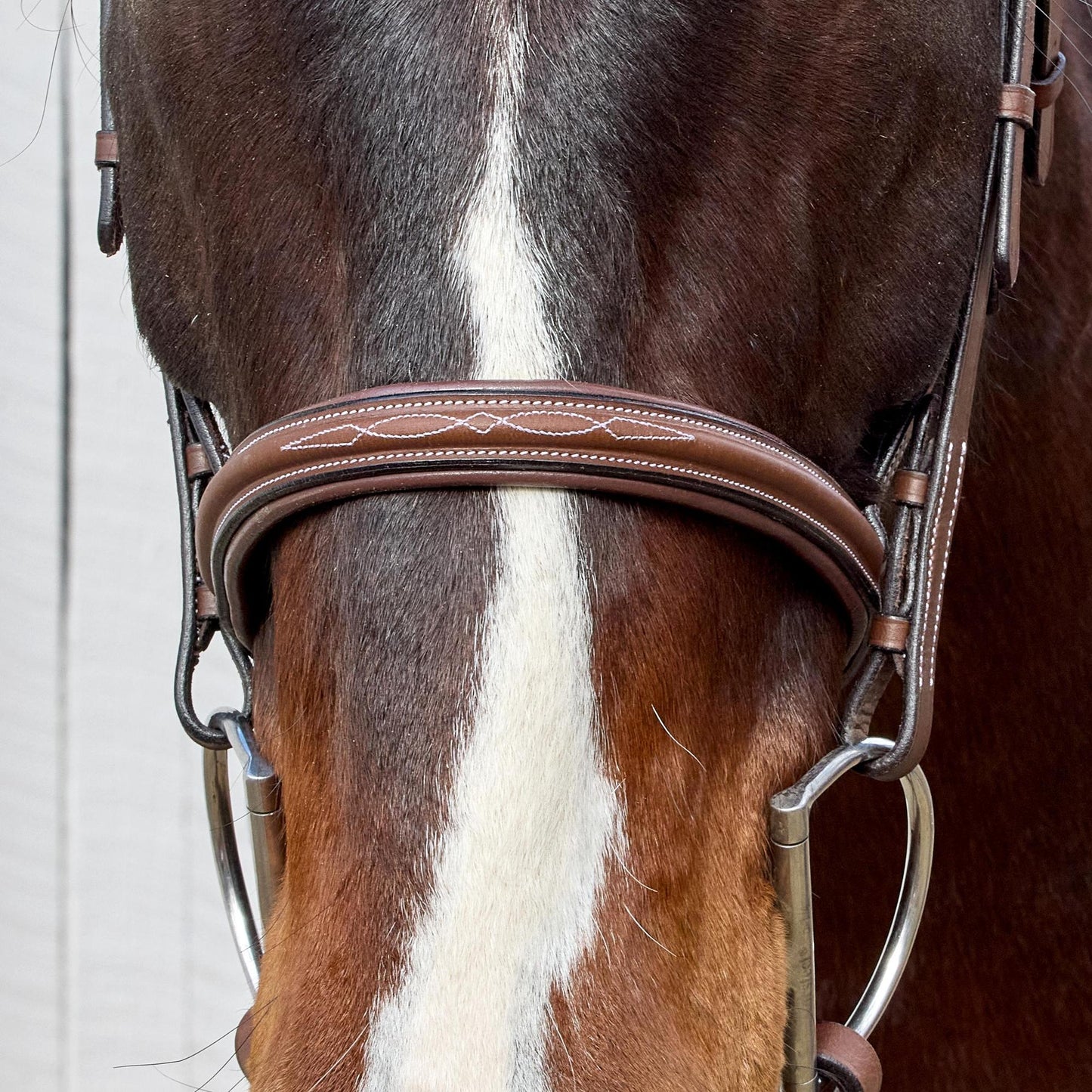 HDR Pro Mono Crown Fancy Stitched Padded Bridle with Matching Laced Reins: Australian Nut / Oversize