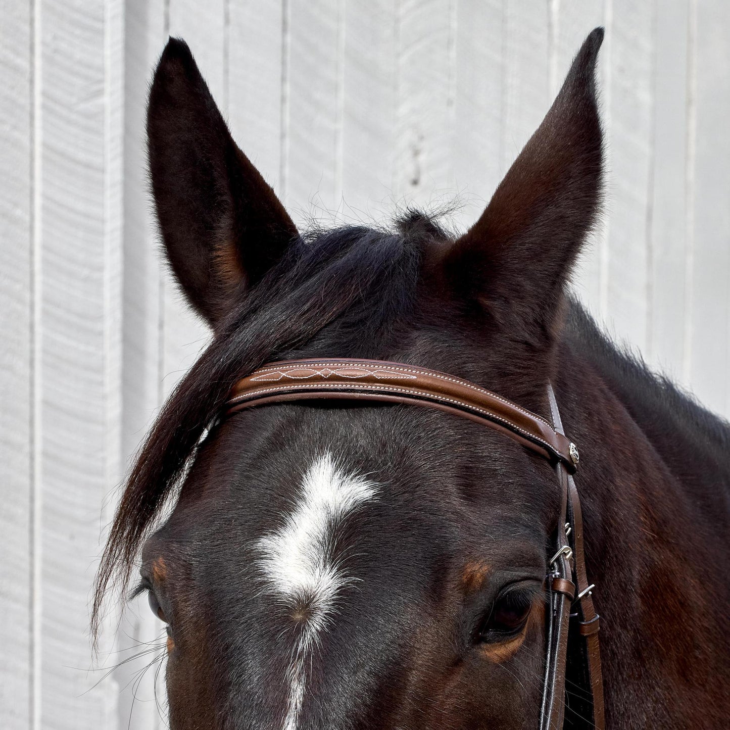 HDR Pro Mono Crown Fancy Stitched Padded Bridle with Matching Laced Reins: Australian Nut / Oversize