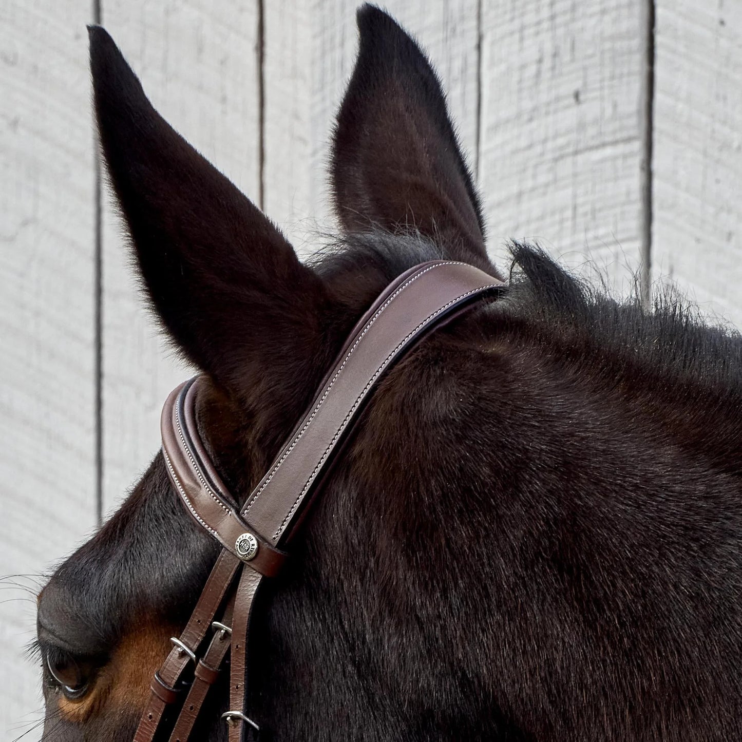 HDR Pro Mono Crown Fancy Stitched Padded Bridle with Matching Laced Reins: Australian Nut / Oversize