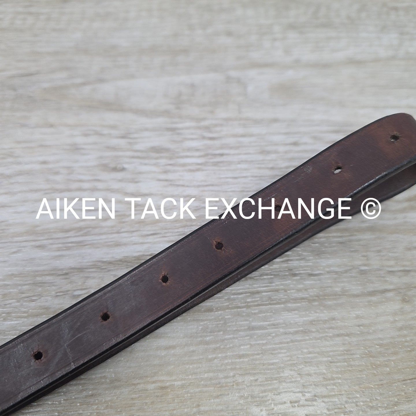 Hadfield Bridleworks Flat Standing Martingale, Size Extra Oversize