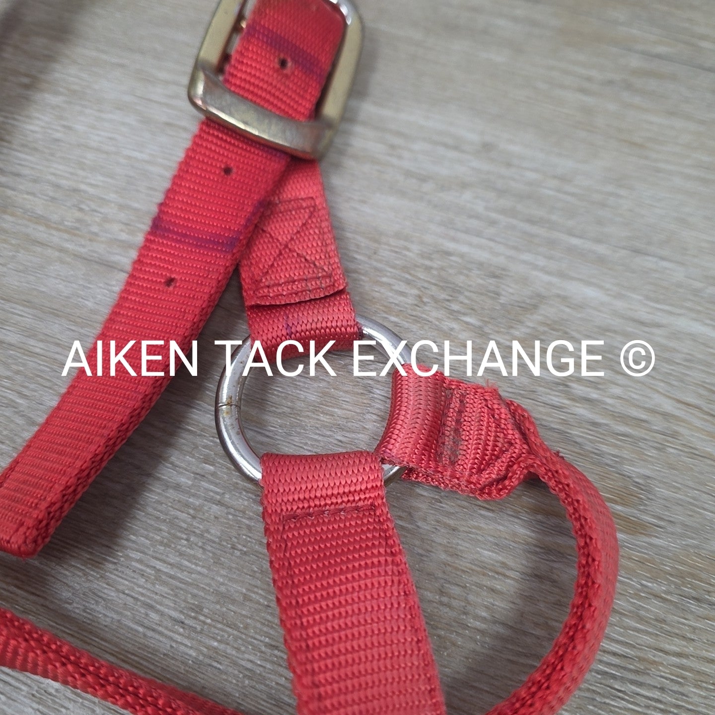 BARGAIN BUNDLE: Nylon Halter, Large, Nylon Halter Missing Crown, Full & Lead Rop