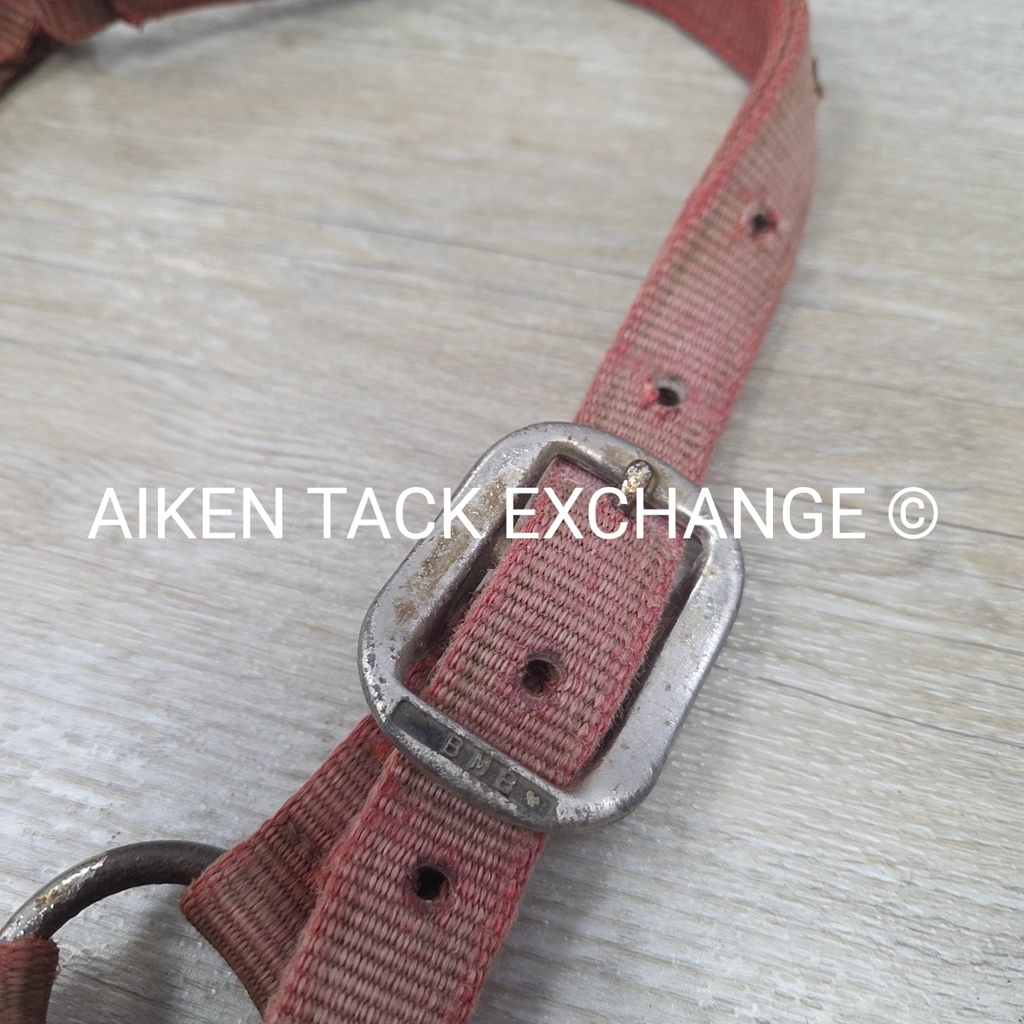 BARGAIN BUNDLE 5 Weaver Leather Nylon Halters, Size Horse