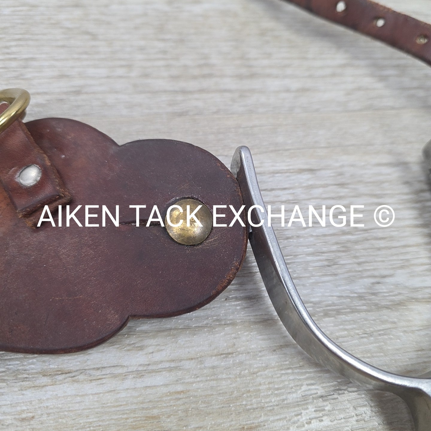 Western Rowel Spurs with Leather Spur Straps