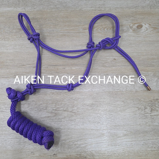 Rope Halter with Lead