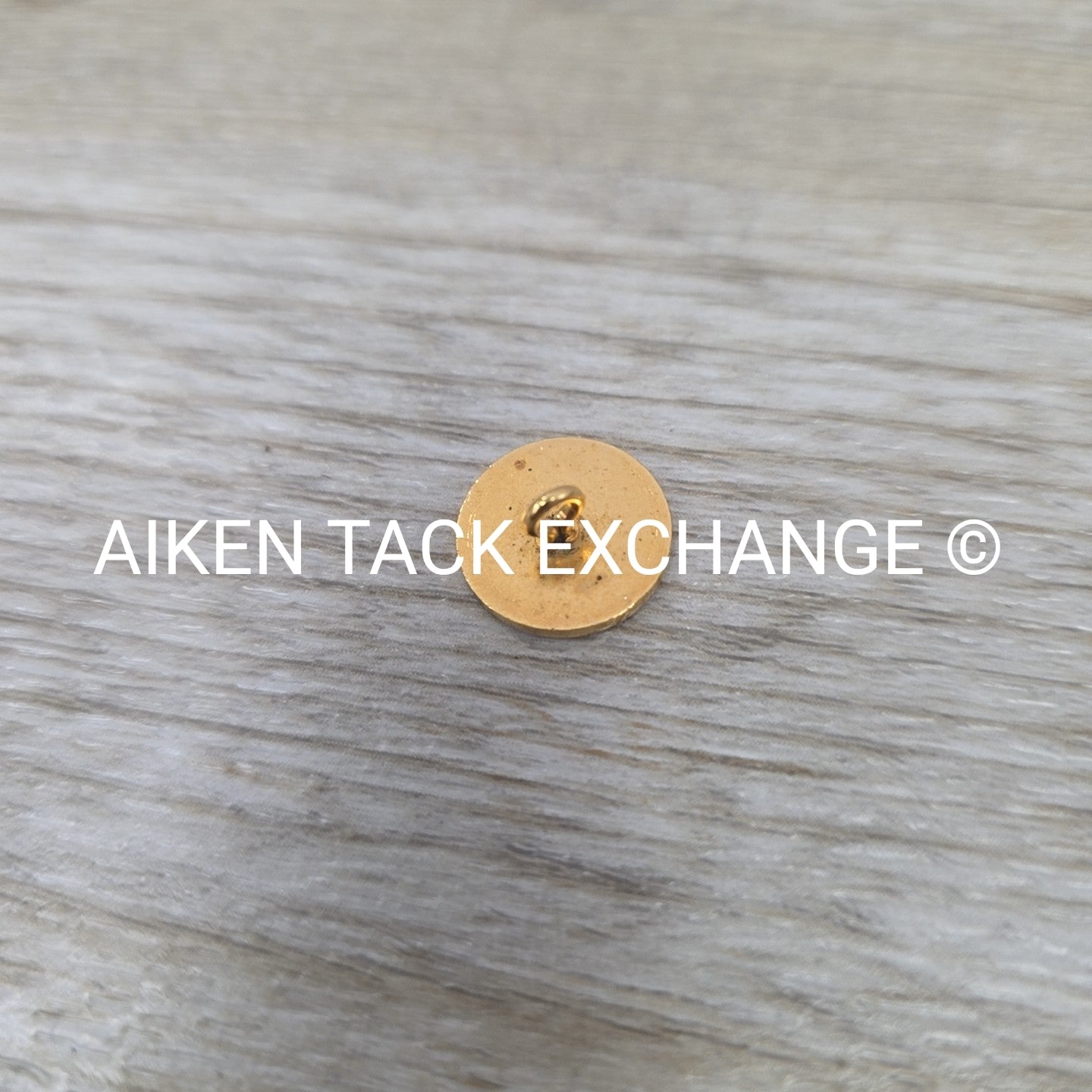 Tryon Hounds Brass Button, Small