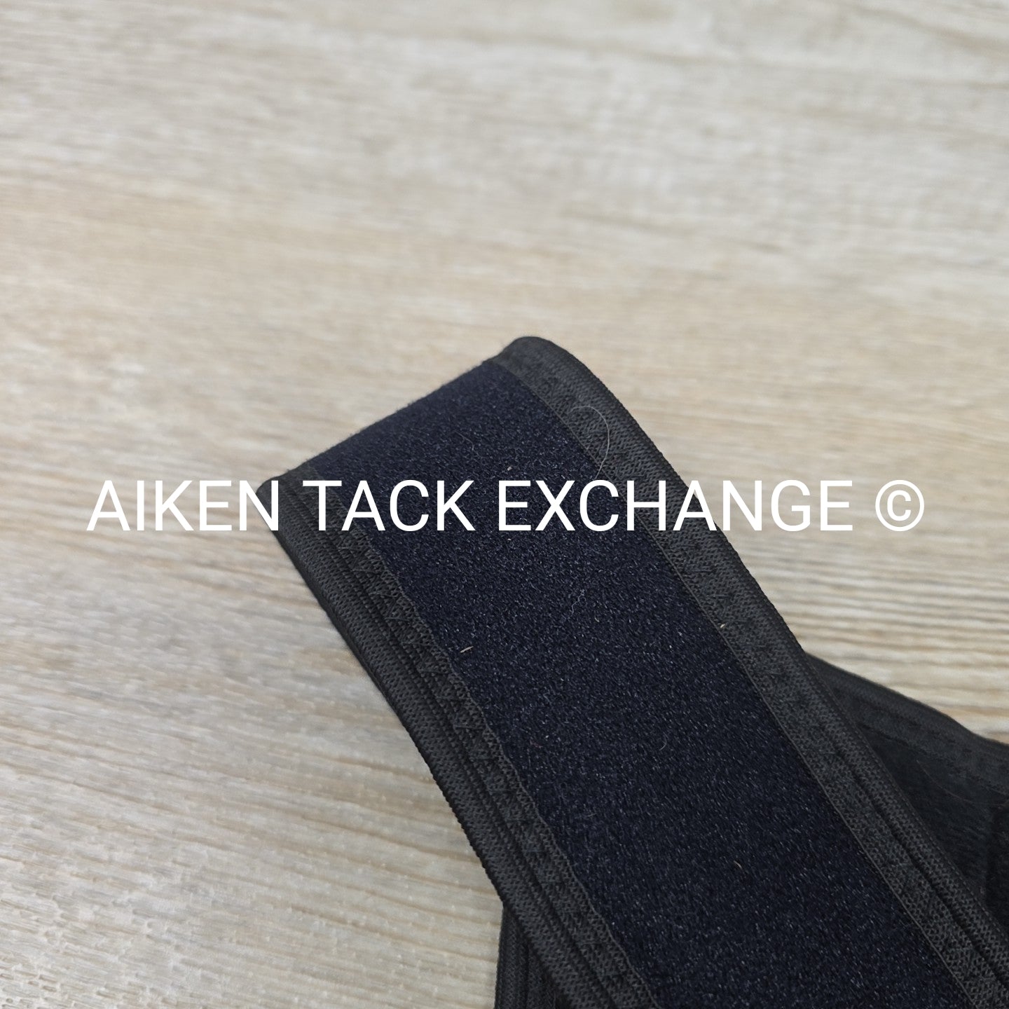Equestorian Back Brace, Size Large