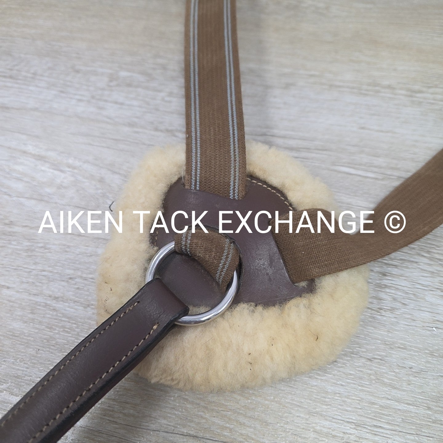 HDR Pro 5 Point Elastic Breastplate, Brown, Size Full