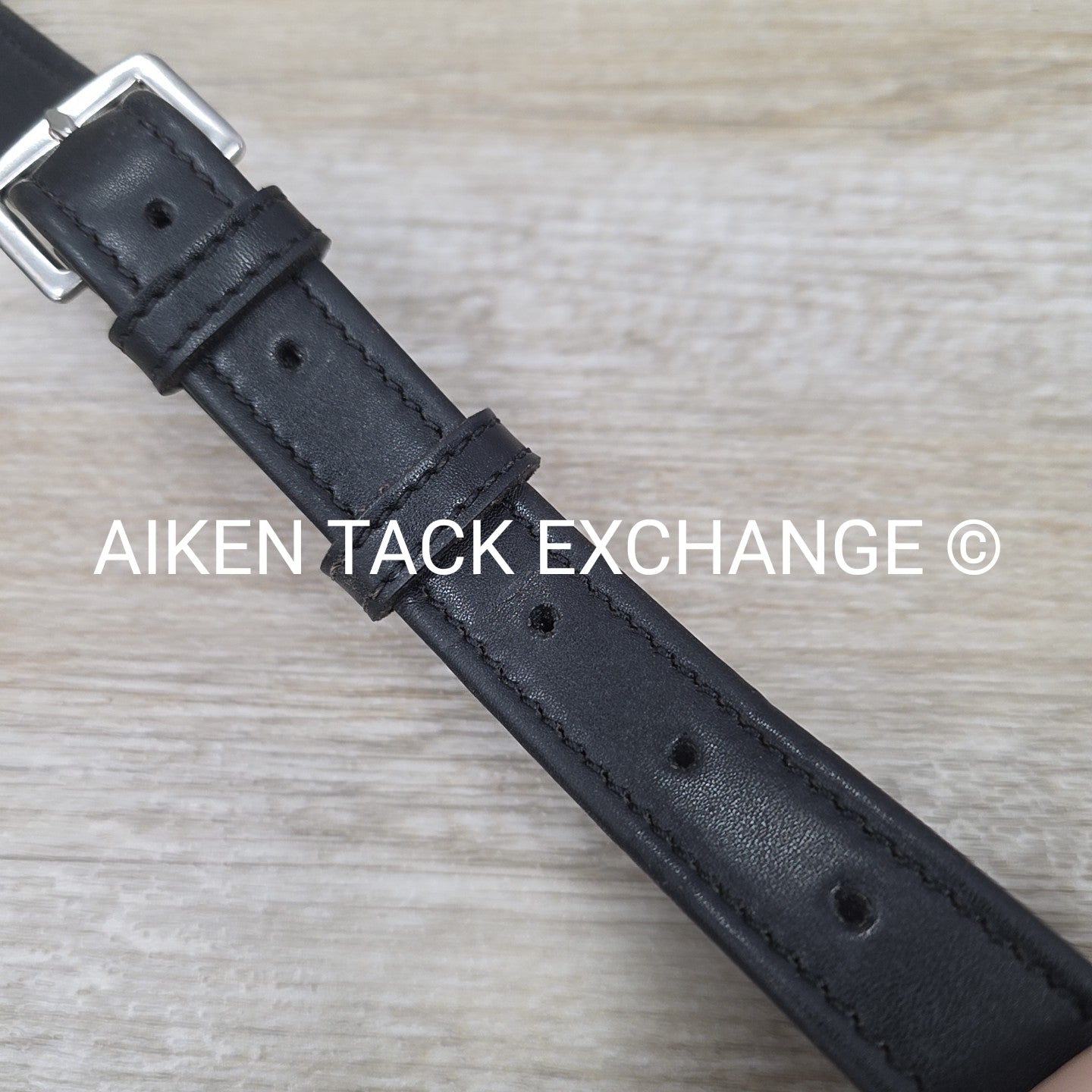 Synthetic Flat Running Martingale, Black, Size Cob