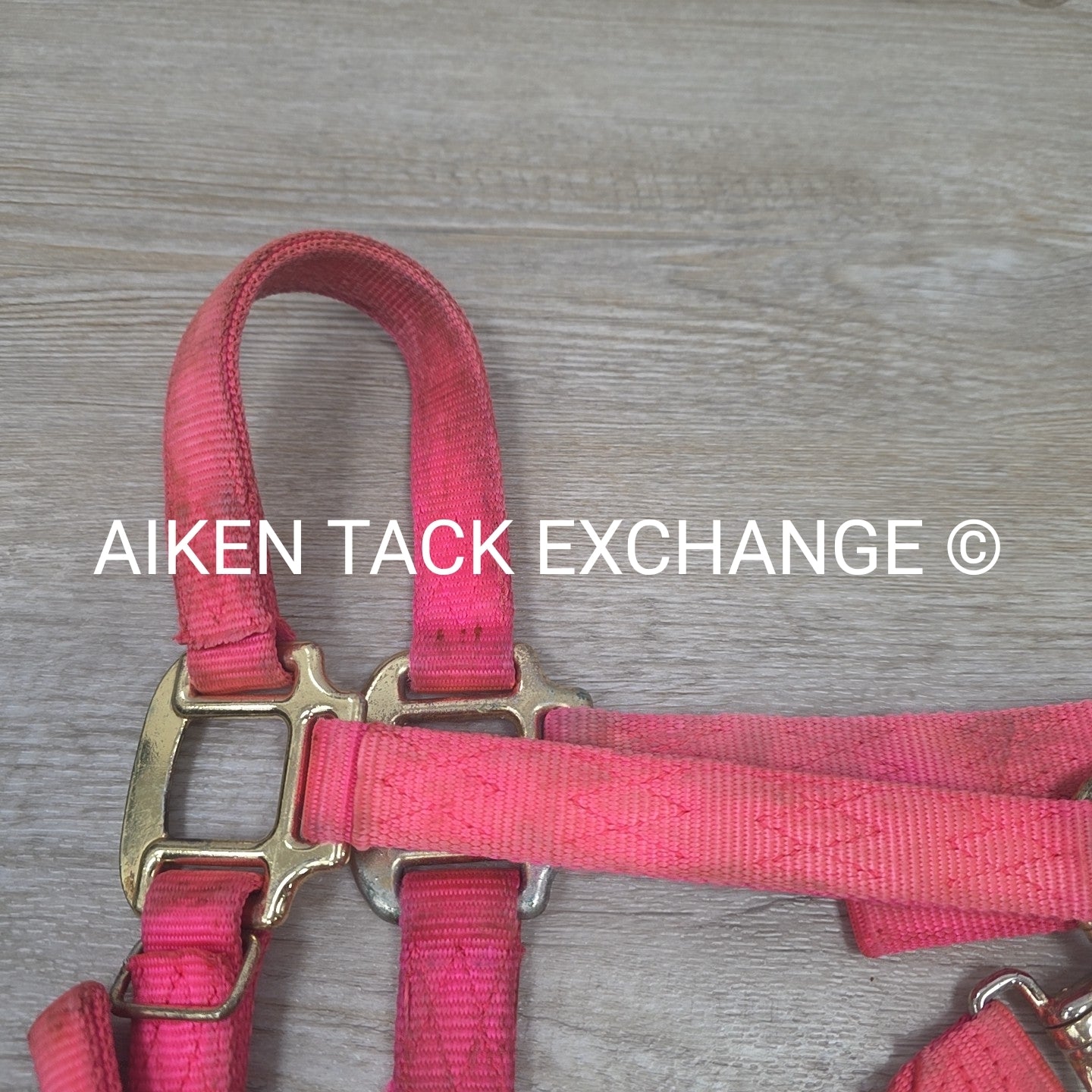 BARGAIN BUNDLE: 2 Nylon Halters & 2 Lead Ropes
