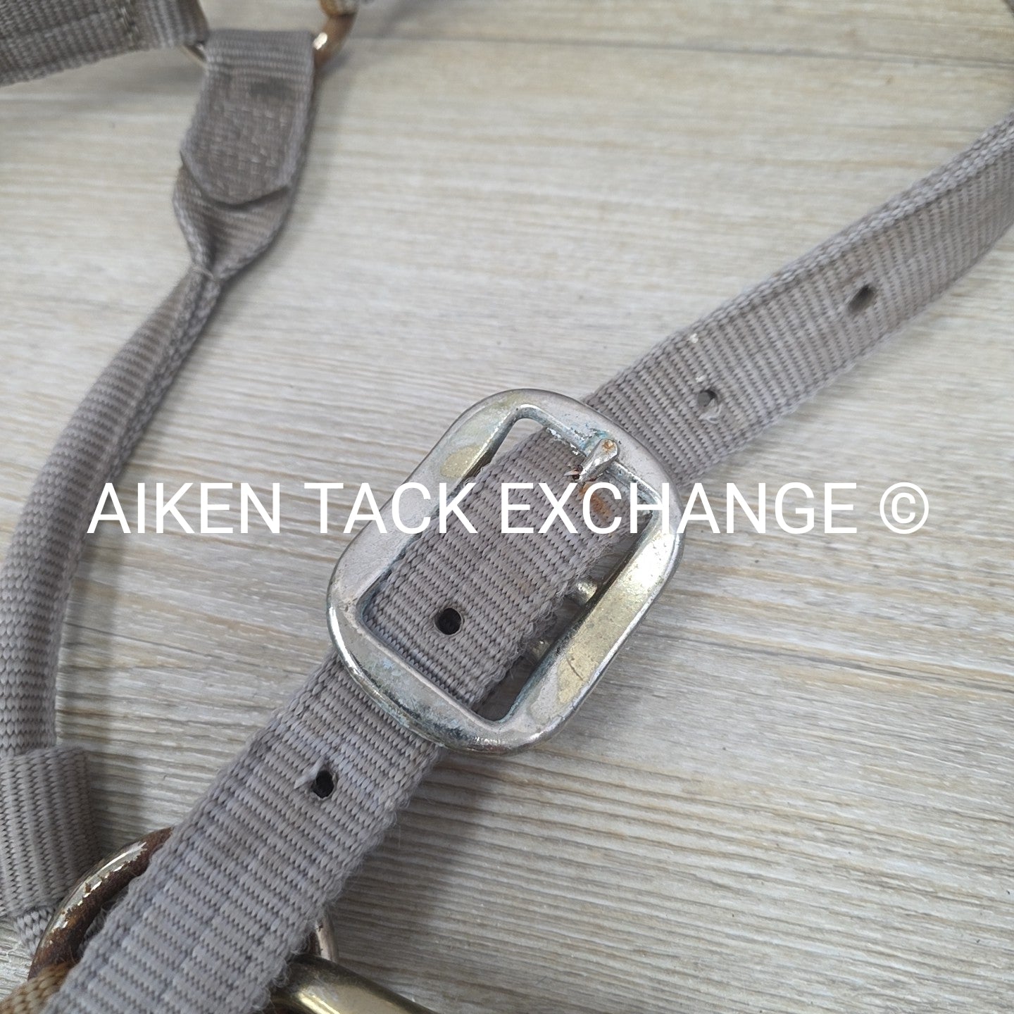 BARGAIN BUNDLE 5 Weaver Leather Nylon Halters, Size Horse