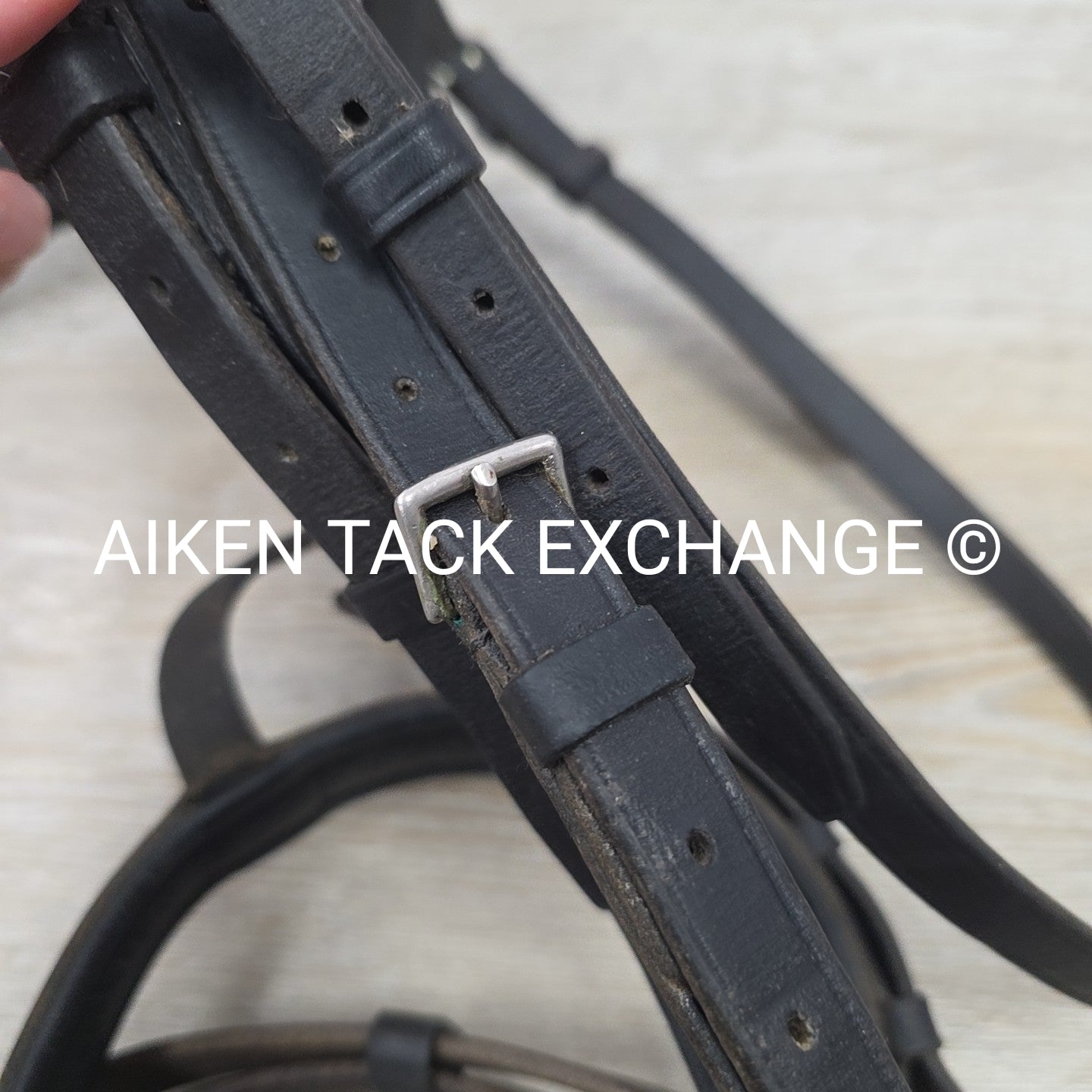 BARGAIN BUNDLE: Otto Schumacher Flash Bridle with Passier Cotton Web Reins, Blac
