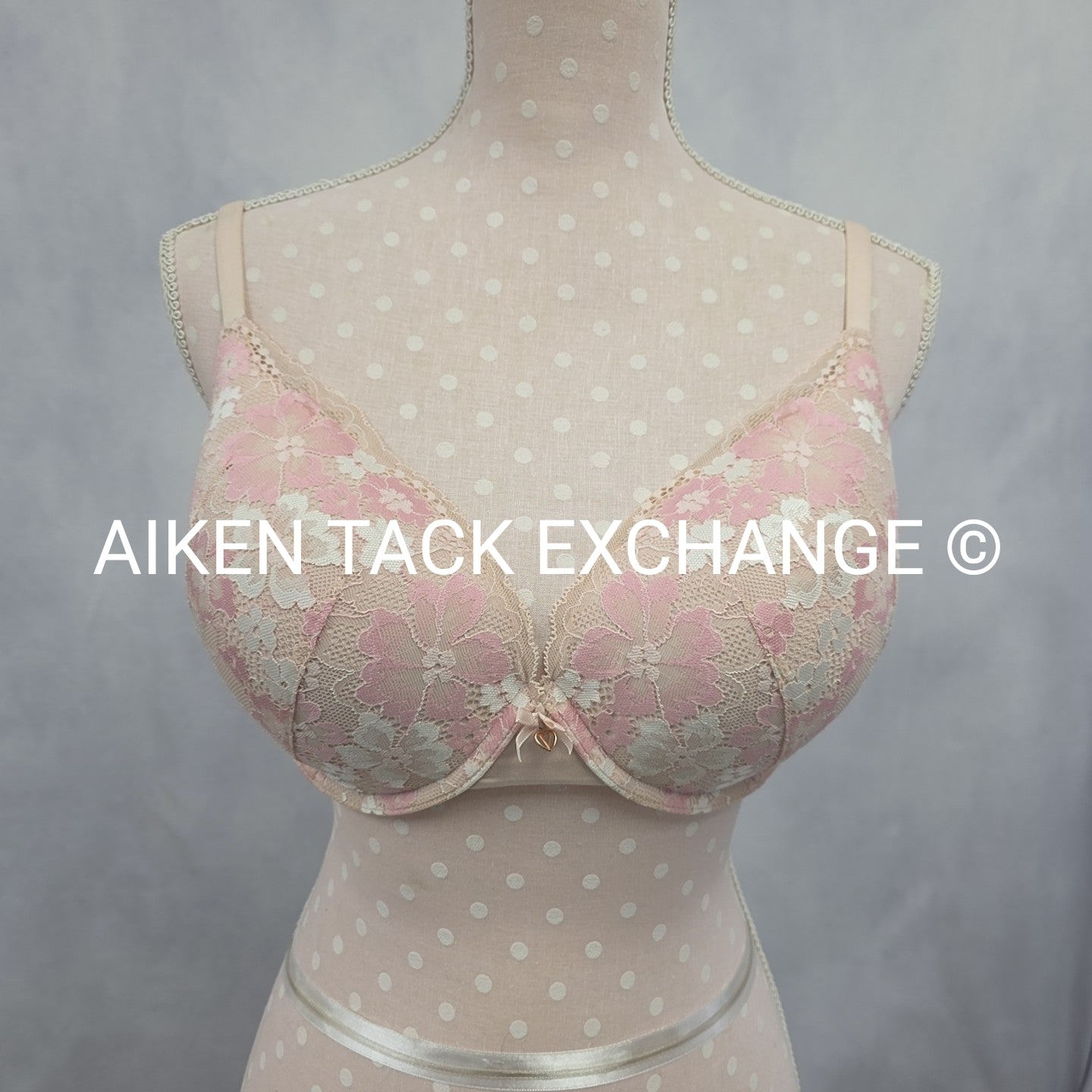 Victoria's Secret Love Cloud Incredible Perfect Shape Push-Up Bra, Size 34DDD