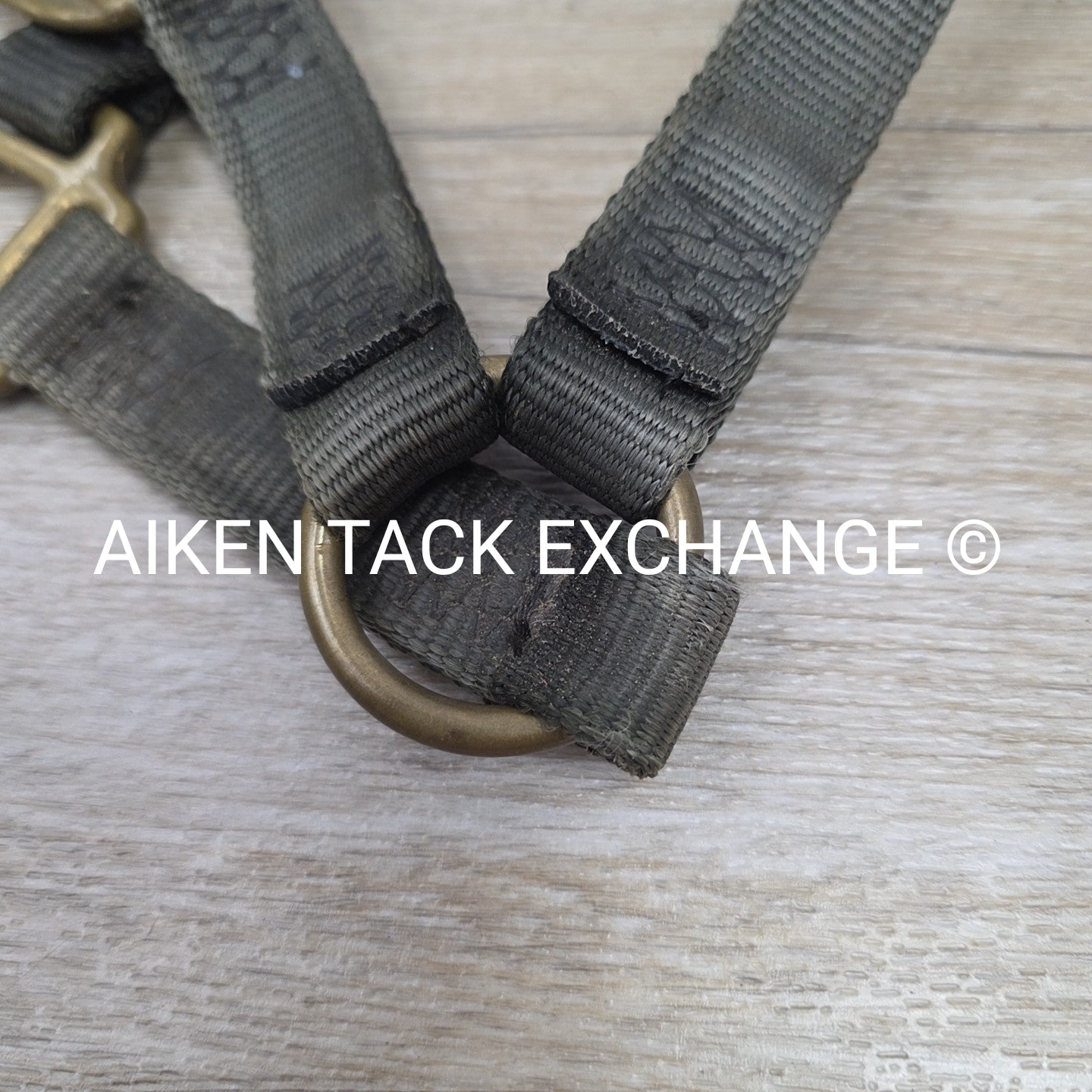 Walsh Nylon Halter, Size Cob