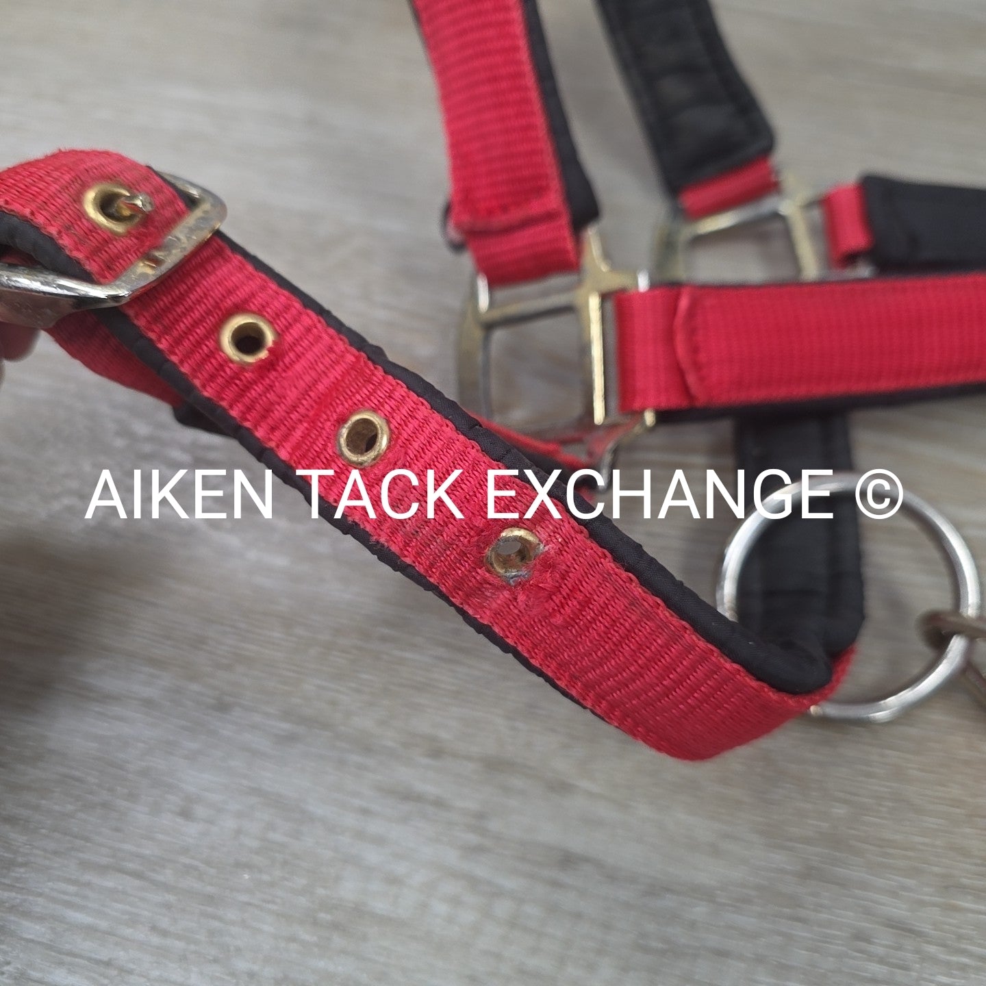 Schneiders Padded Breakaway Halter, Oversize