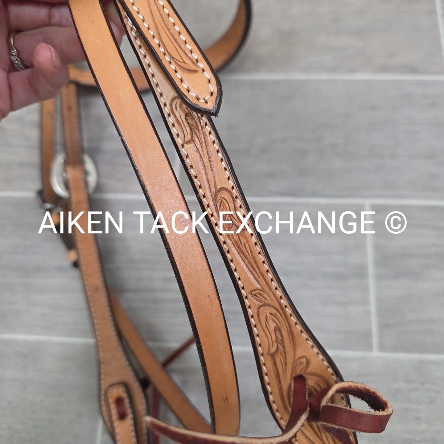 Showman Browband Headstall, No Reins