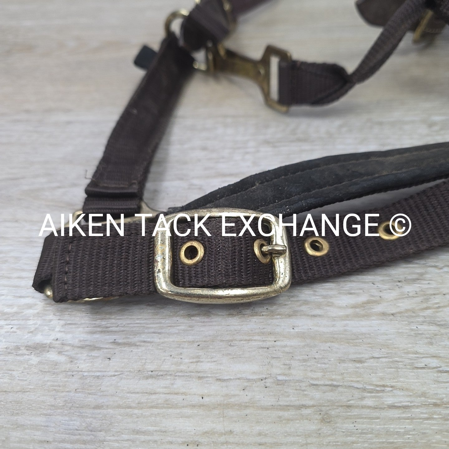 Nylon Halter, Size Cob