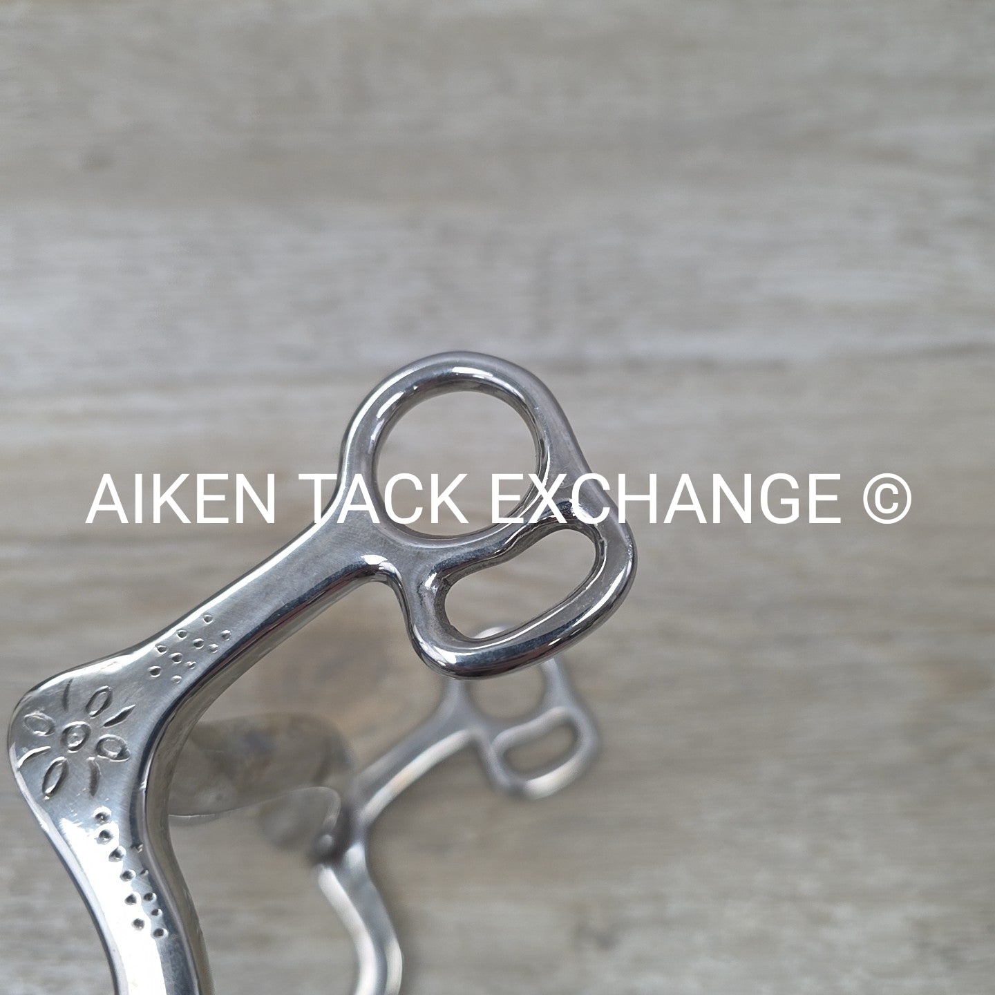 Ported Mullen Mouth Shanked Bit 5"