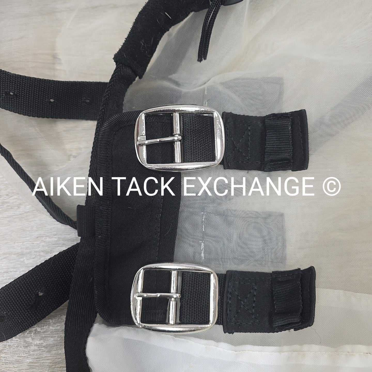 Fly Turtle Fly Sheet, 78"